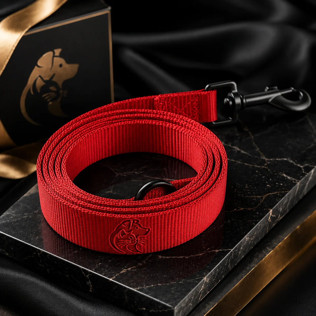 Red dog leash with black clip on black marble with gold