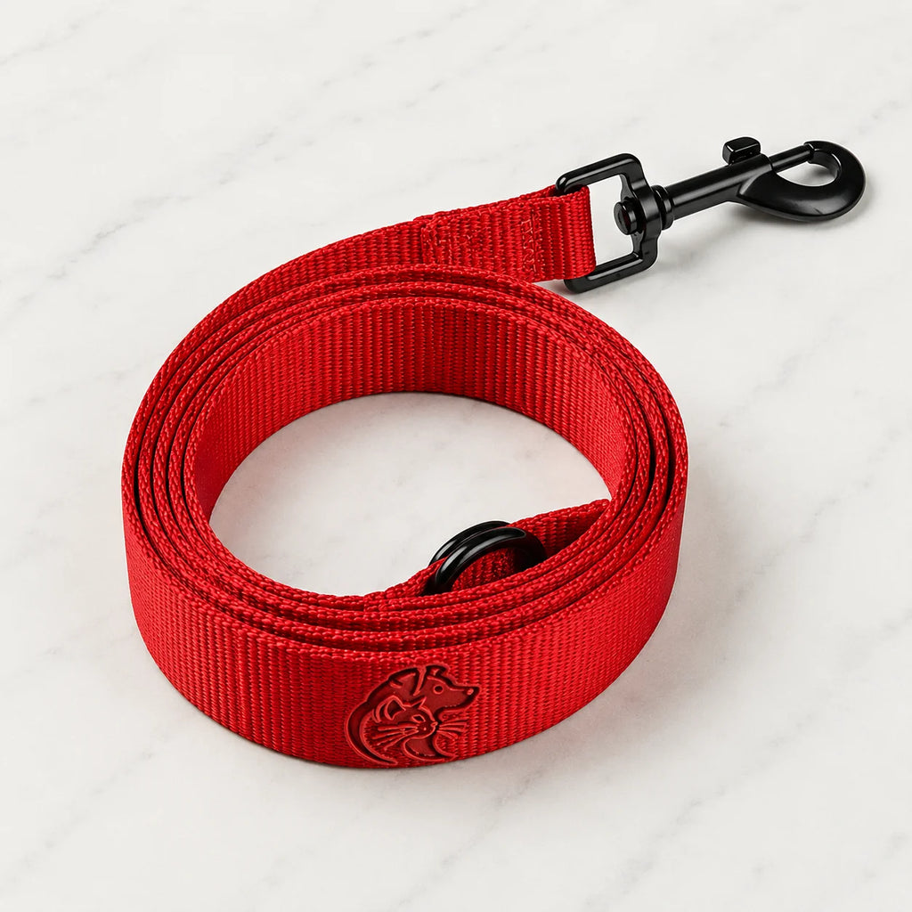 Red nylon dog leash with black clip on white marble background curled up