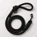 Black nylon dog leash with leather accents and metal clip on white background