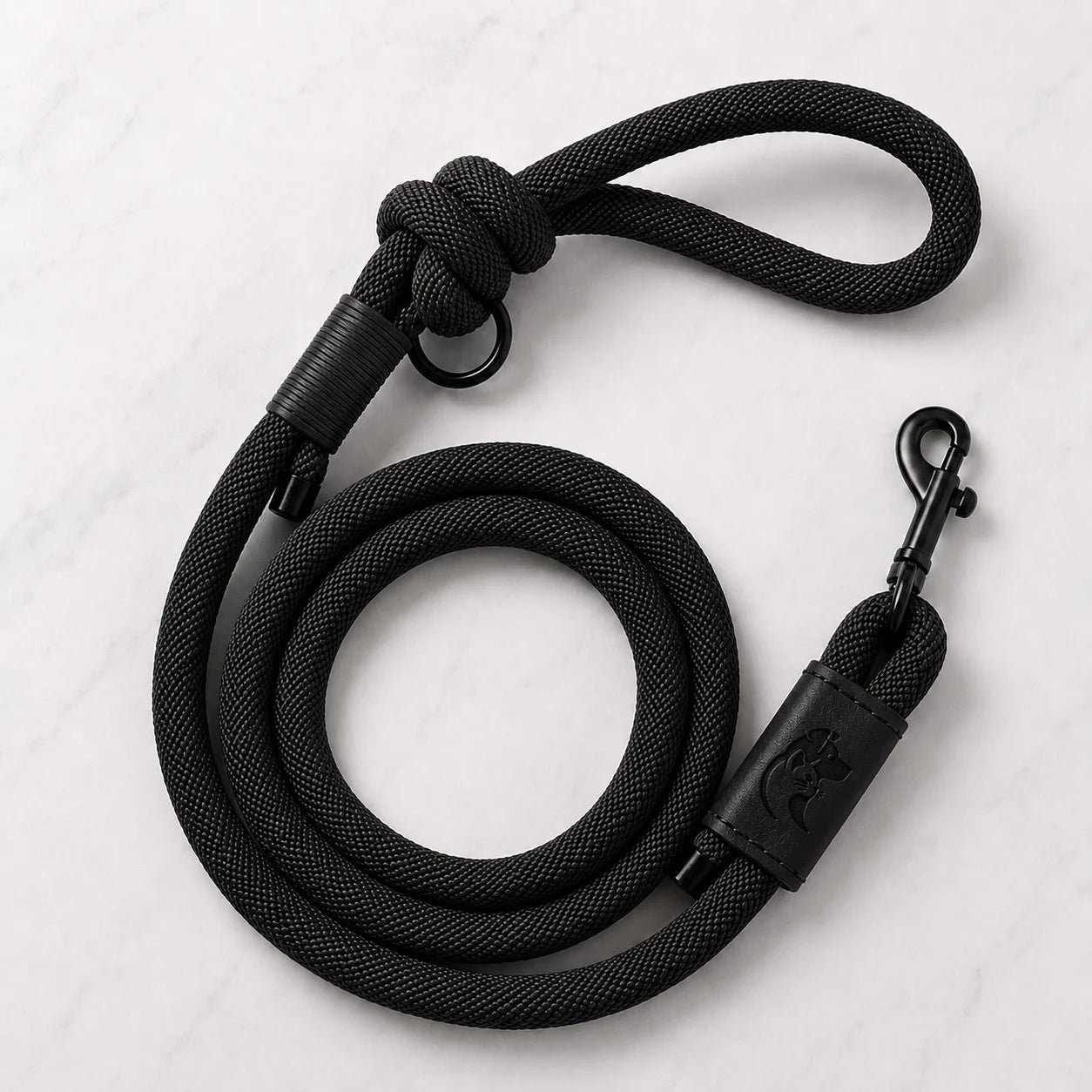 Black nylon dog leash with leather accents and metal clip on white background