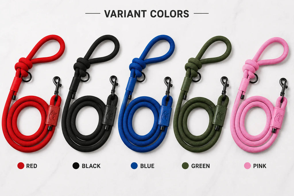 Five colorful dog leashes in red, black, blue, green, and pink on a white background