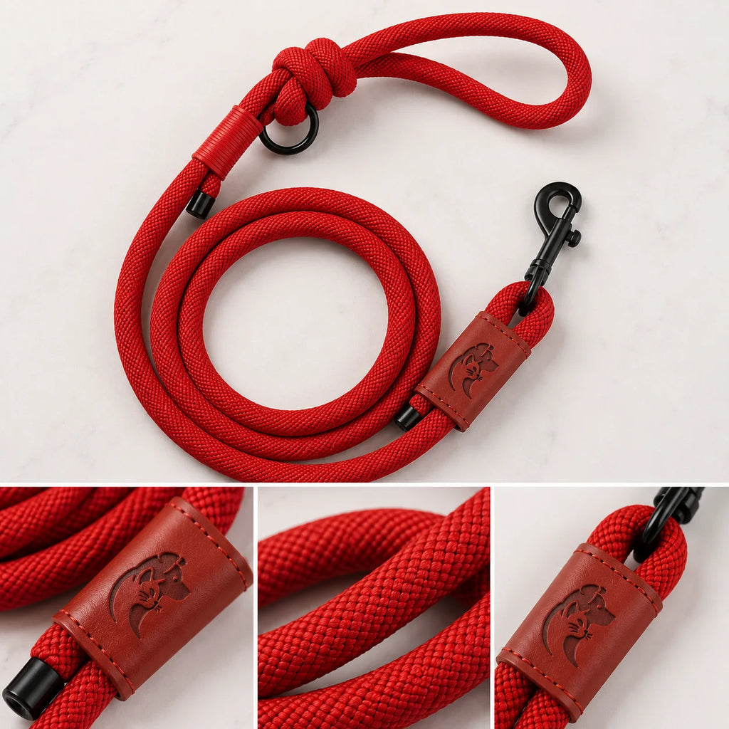 Red dog leash with leather accents and metal clips on a white background shown from multiple angles