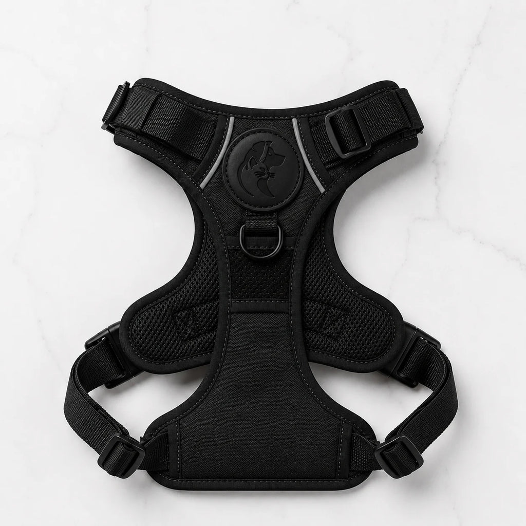 Black dog harness with adjustable straps and buckles on a white marble background