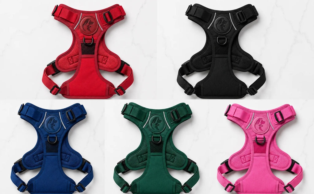 Six dog harnesses in red, black, blue, green, and pink on a white background