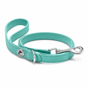 atealleatherdogleashwithsilverhardwareandadecorativemetalemblemonawhitebackground.png