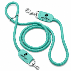 tealdogleashwithsilverclipsandcrossstreetbrandingonleatherpatches.png