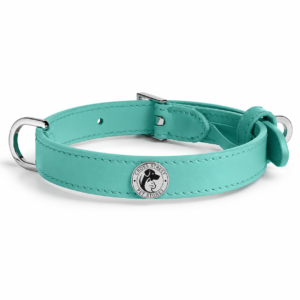 tealleatherdogcollarwithmetalbuckleandgoodboybadgeonwhitebackground.png
